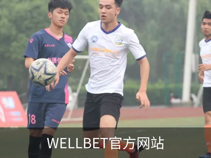 WELLBET官方网站介绍